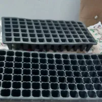 ظرف یکبار مصرف