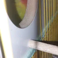 ماهشهر فاز ۷|پرنده|بندر ماهشهر, |دیوار