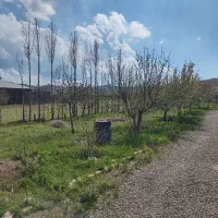 زمین نزدیک خلخال برای ویلاسازی