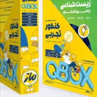 ماز باکس