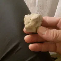 سنگواره سرمار