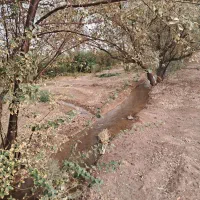 زمین کشاورزی بردسیر