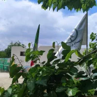 روانشناس و مددکار آقا و خانم