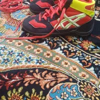 کفش کشتی اسیکس