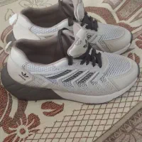 کتونی نو نو