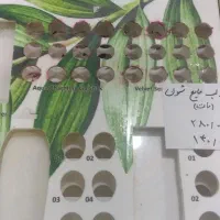 جای وسایل ارایشی