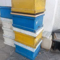 کندو زنبور عسل
