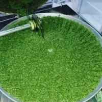 سبزی خورشتی آماده