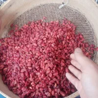 زغال اخته خشک بدون هسته و سماق قرمز خالص برگ|خوردنی و آشامیدنی|تهران, استاد معین|دیوار
