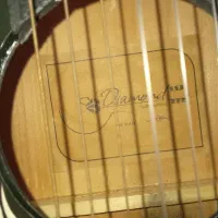 گیتار . گیتاره دیاموند