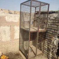 قفس اهنی پرنده مرغ خروس