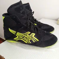 کفش کشتی