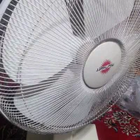 پنکه پارس خزر|پنکه و تصفیه‌کنندهٔ هوا|اصفهان, ارداجی|دیوار