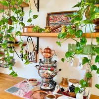 شلف چوبی پایه آهنی|کتابخانه، شلف، قفسه‌های دیواری|کوهدشت, |دیوار