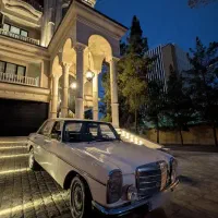 ماشین عتیقه برای فرمالیته