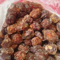 آلوچه خشک امسال نرم و‌تازه
