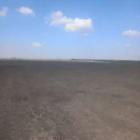 فروش ۴ هکتارزمین کشاورزی نزدیک  قره چشمه|فروش دفتر صنعتی، کشاورزی، تجاری|مینودشت, |دیوار