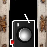 آیینه کنسول