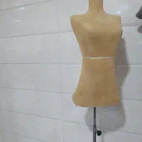 مانکن سوزن خور