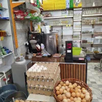 واگذاری لبنیات|فروشگاه و مغازه|کرمان, |دیوار