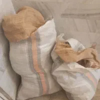 گونی چتایی|گلیم، جاجیم، گبه|قم, زند آباد|دیوار