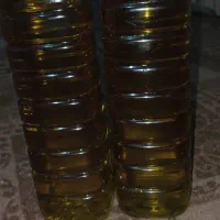 روغن زیتون ضمانتی و اصل|خوردنی و آشامیدنی|فاضل آباد, |دیوار