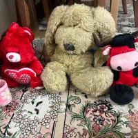 عروسک|اسباب‌بازی بچه|لاهیجان, کوی خزر|دیوار