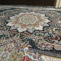 دوعدد قالی فروشی|فرش|جیرفت, |دیوار