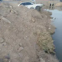 فروشی|خودرو سواری و وانت|بوشهر, |دیوار