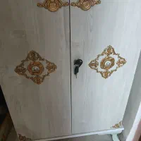 جاکفشی برنزخور لوتوس