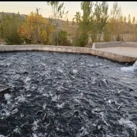 ماهی قزل آلا ۱۰۰ گرم اسپانیا|ماهی|ویلکیج, |دیوار