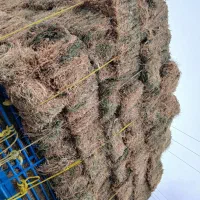 بیده یونجه خشک خشک