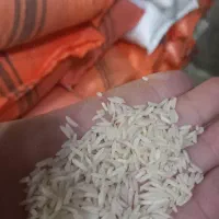 برنجهاشمیونیمدانههاشمی|خوردنی و آشامیدنی|رشت, بلوار گیلان|دیوار