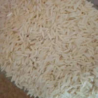 فروش برنج هاشمی طارم|خوردنی و آشامیدنی|رشت, دیلمان|دیوار