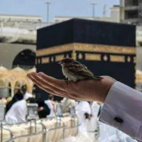 فروش ۲ فیش حج تمتع(واجب) رشت اعزام خرداد ۱۴۰۵