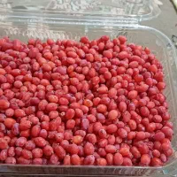 زرشک دانه شده با دست بدون دم وبرگ کیلویی240