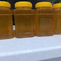 عسل|خوردنی و آشامیدنی|میبد, |دیوار