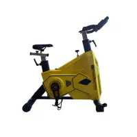 دوچرخه ثابت اسپینینگ