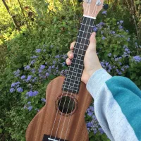 ساز یوکللی،یوکوللی(اوکوله له)ukulele
