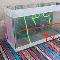 اکواریوم|ماهی|قم, پردیسان|دیوار