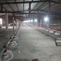 نصب تجهیزات مرغداری و گلخونه و خرید اجناس دست دو|ماشینآلات صنعتی|بستان آباد, |دیوار