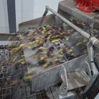 روغن زیتون فرابکر آربیکن|خوردنی و آشامیدنی|زاهدان, |دیوار