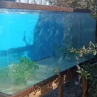 آکواریوم شیشه خم