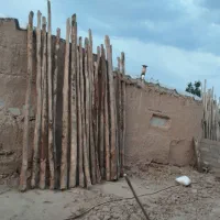 چوب سقف