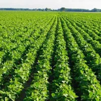 نیاز به سرمایه گذار