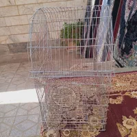قفس