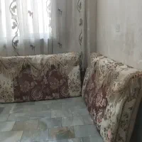 دو‌عدد‌پشتی‌