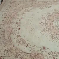 قالی|فرش|سوسنگرد, |دیوار