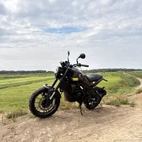 بنلی لیونچینو 250 1401