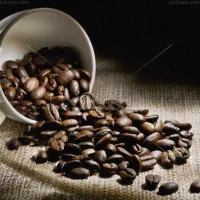 قهوه روبستاو عربیکا